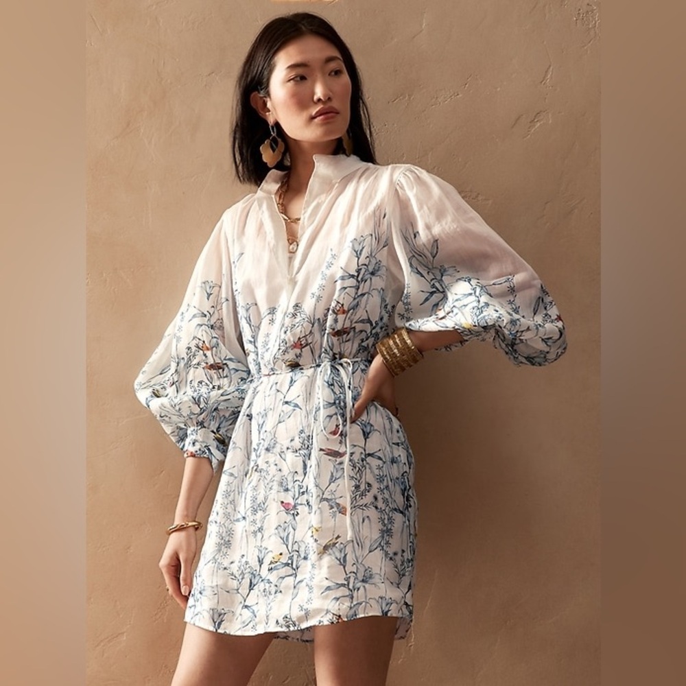 NWT Beautiful Banana Republic Ramie Popover Dress